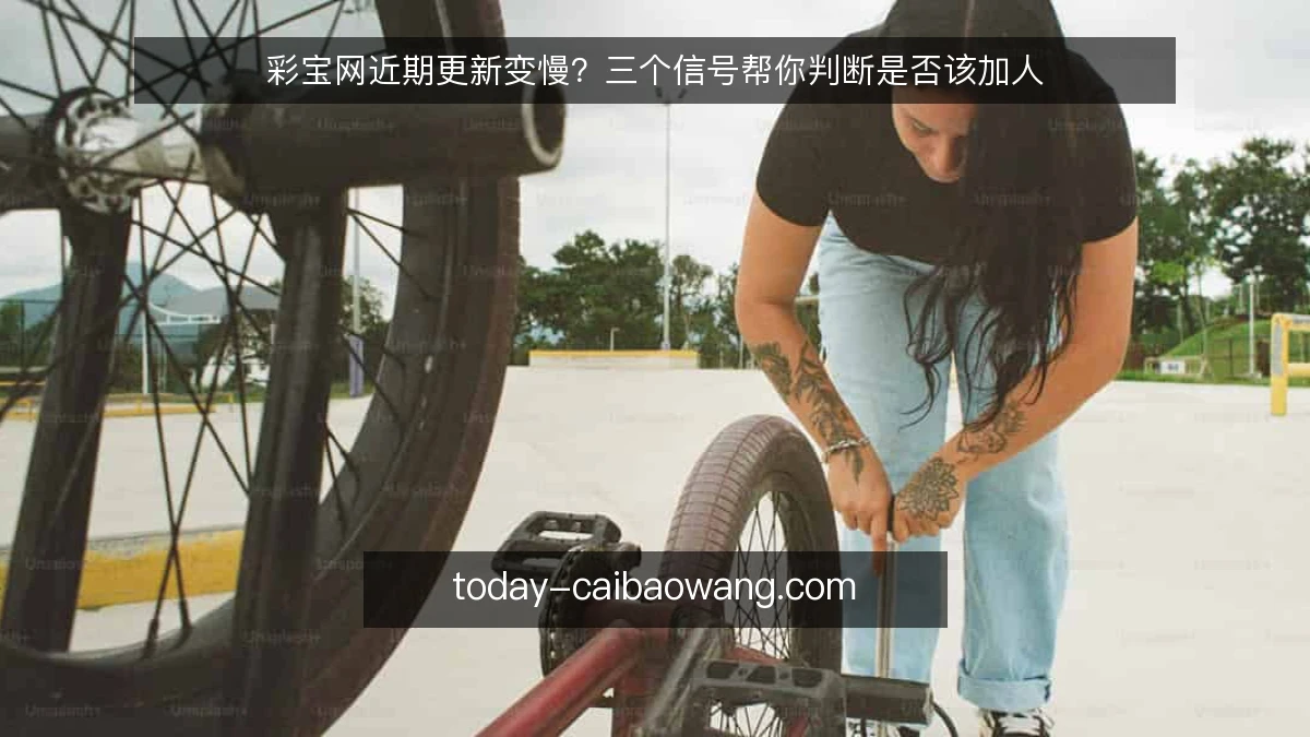 彩宝网近期更新变慢？三个信号帮你判断是否该加人