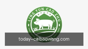 彩宝网
